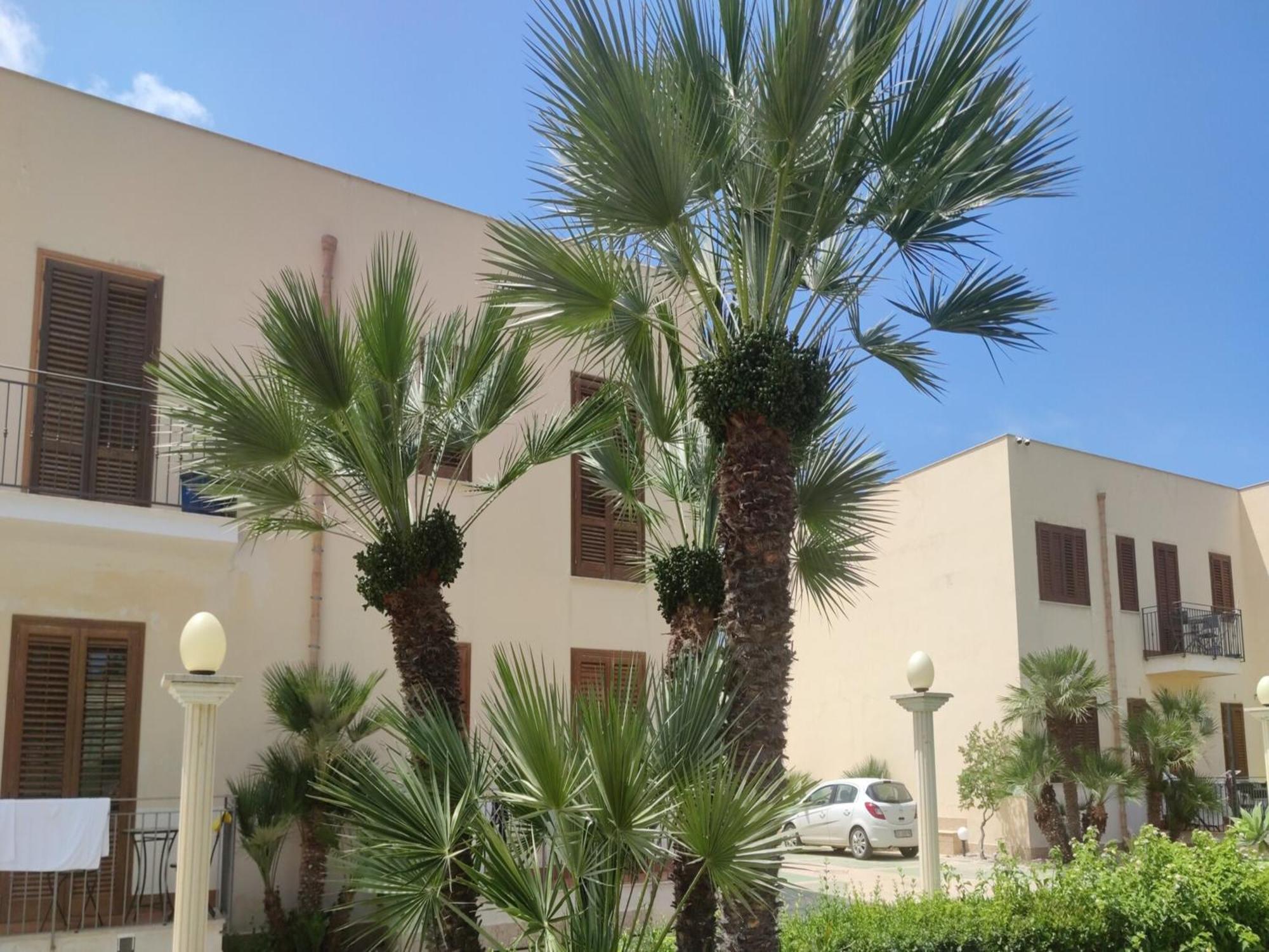 Appartamento Valentina San Vito Lo Capo Bagian luar foto