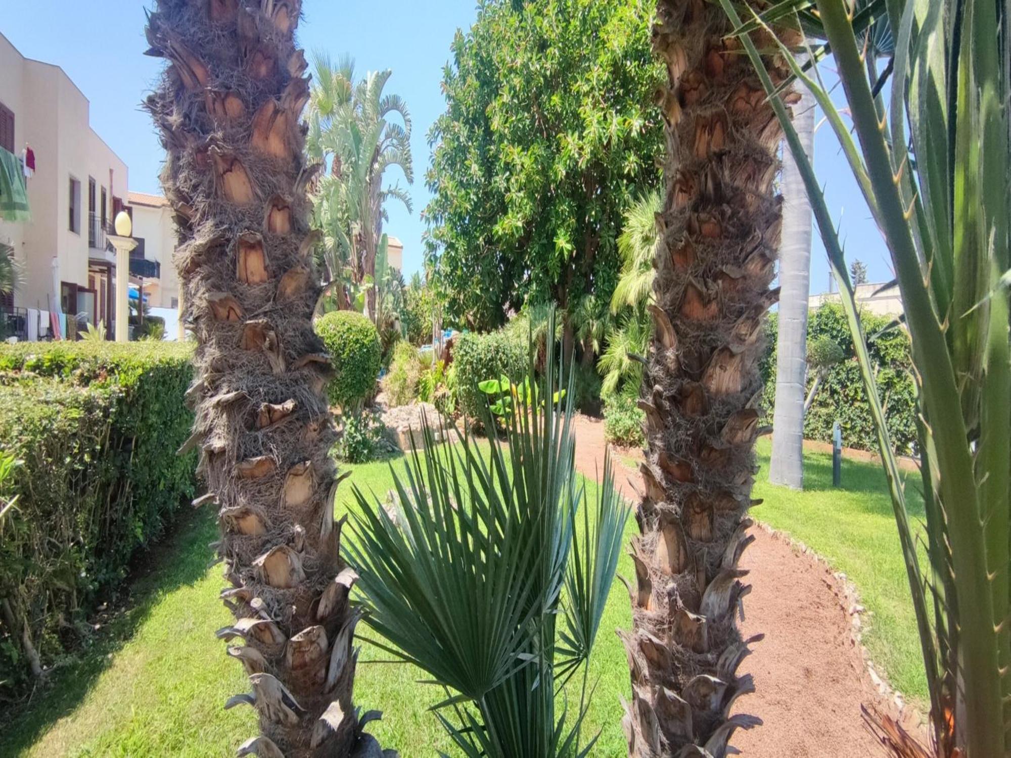 Appartamento Valentina San Vito Lo Capo Bagian luar foto